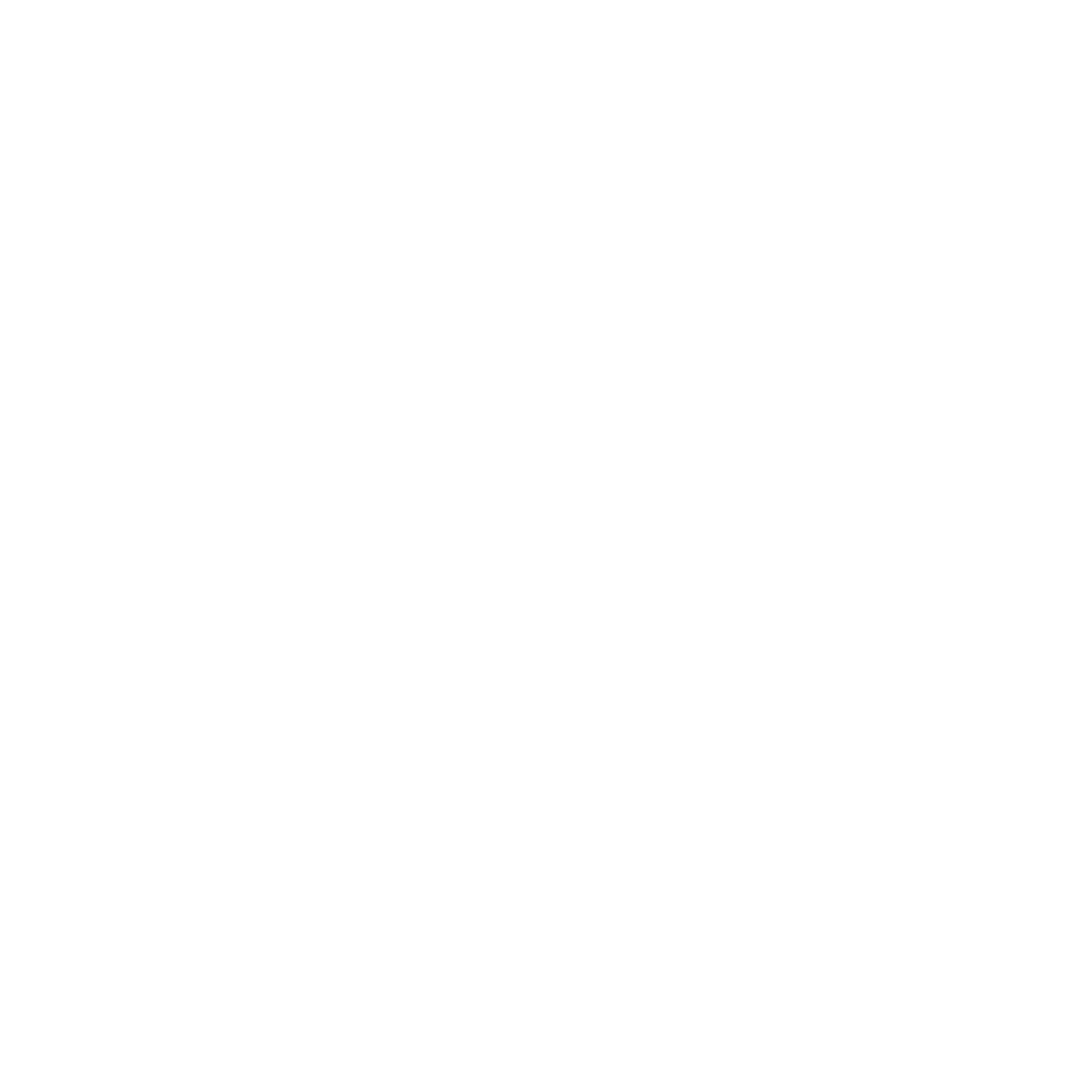 Canter Culture Riding Apparel logo