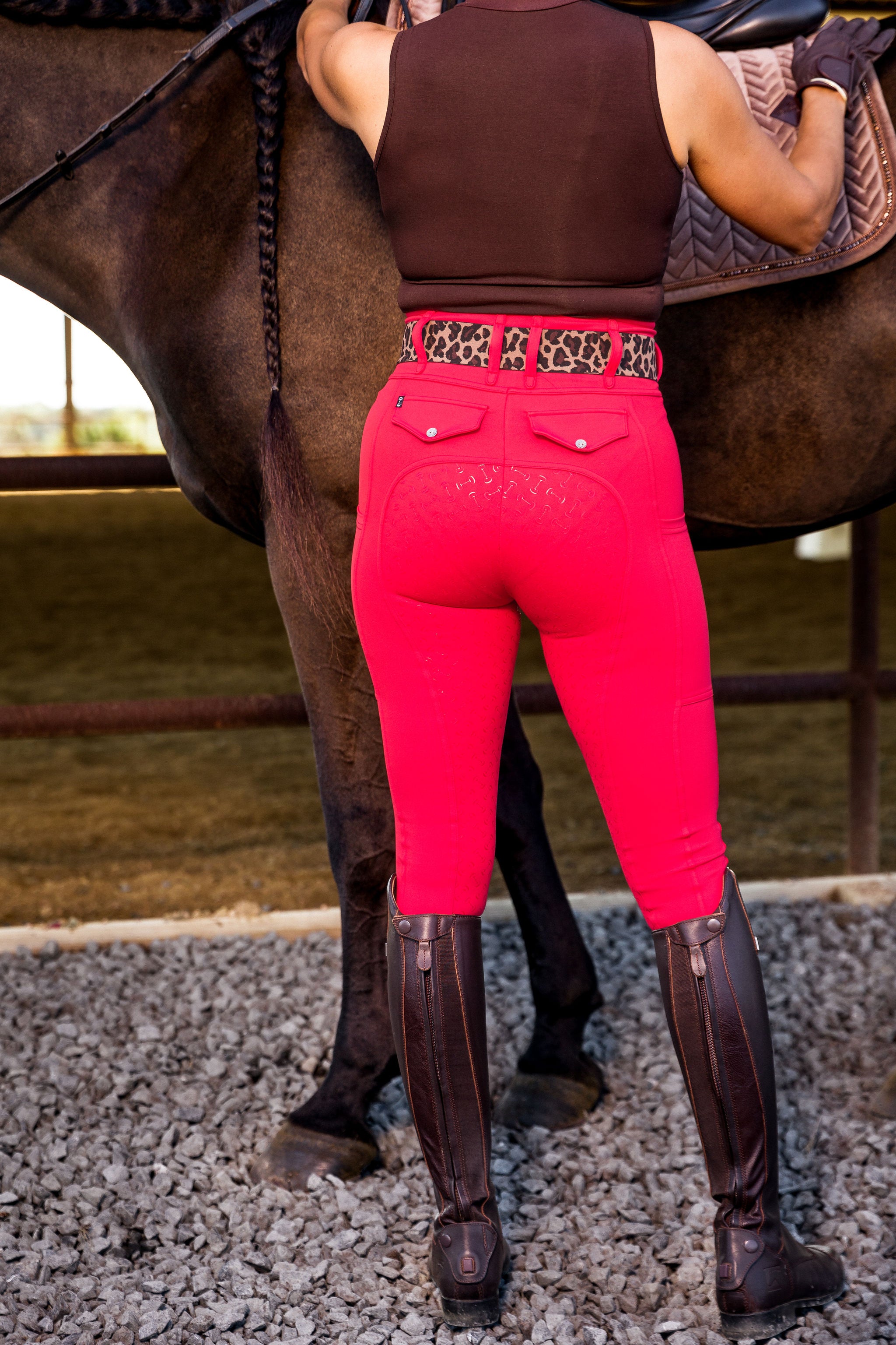Coral Reef Athletic Breech Horse