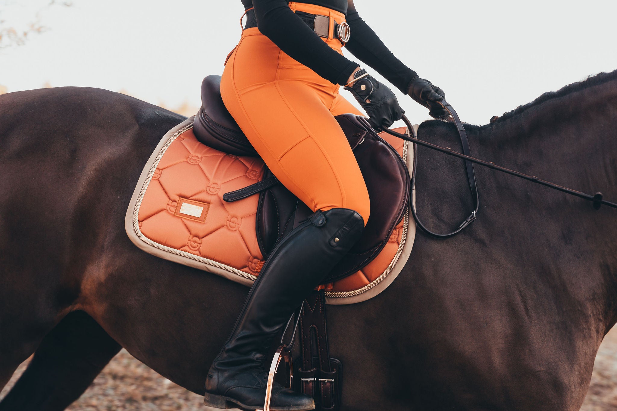 Our glazed ginger riding pants can also look burnt orange in dim light and go well with Equestrian Stockholm Bronze Gold.